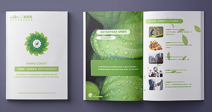 企业精神画册.png 企业精神画册.png